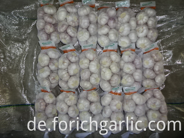 5 0cm Fresh Normal Garlic